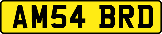AM54BRD
