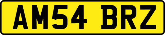 AM54BRZ