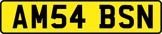 AM54BSN
