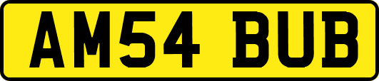AM54BUB