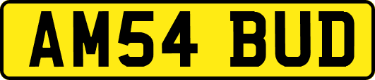 AM54BUD