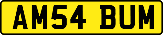 AM54BUM