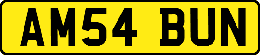 AM54BUN