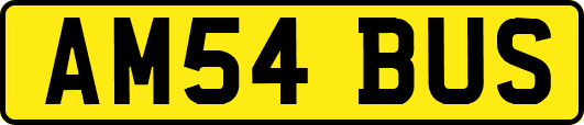 AM54BUS