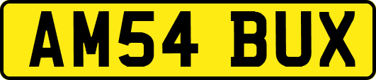 AM54BUX