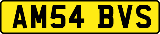 AM54BVS
