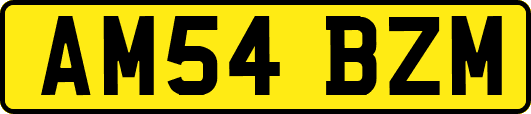AM54BZM