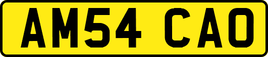 AM54CAO