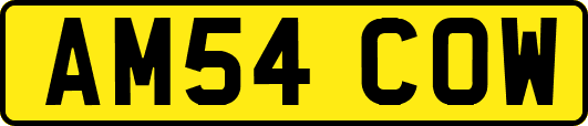 AM54COW