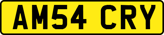 AM54CRY