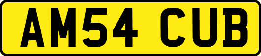 AM54CUB