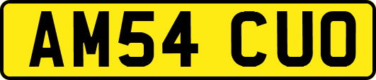 AM54CUO