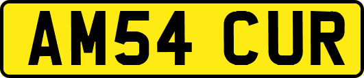 AM54CUR