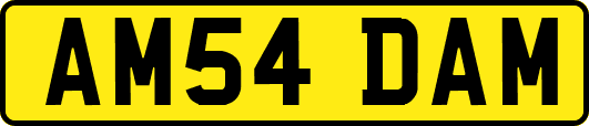AM54DAM
