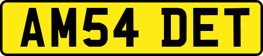 AM54DET
