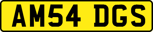 AM54DGS