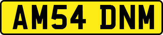 AM54DNM