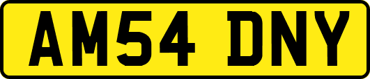 AM54DNY