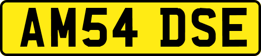 AM54DSE