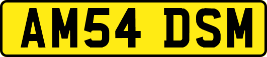 AM54DSM