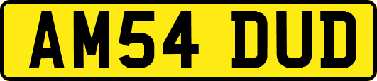 AM54DUD