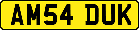 AM54DUK