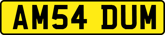 AM54DUM