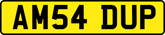AM54DUP