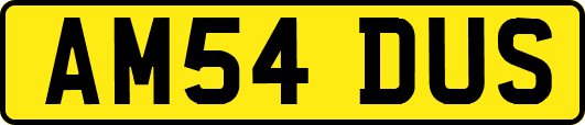 AM54DUS