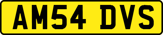 AM54DVS