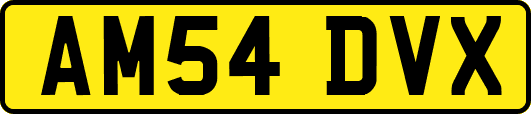 AM54DVX