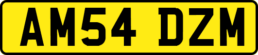 AM54DZM
