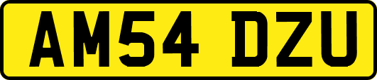 AM54DZU