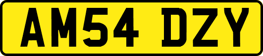 AM54DZY