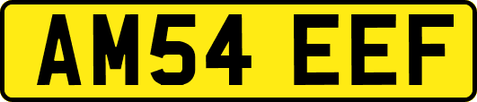 AM54EEF