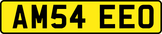 AM54EEO