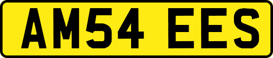 AM54EES