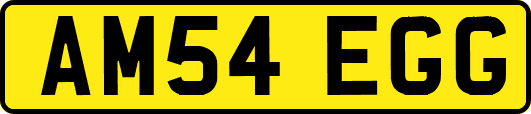 AM54EGG