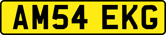 AM54EKG