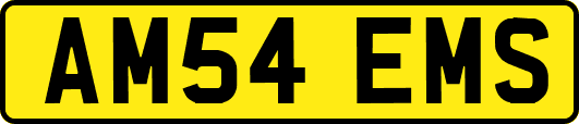 AM54EMS
