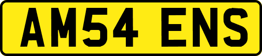 AM54ENS