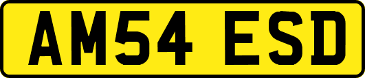AM54ESD