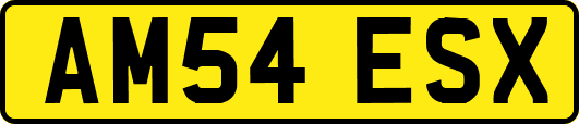 AM54ESX