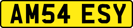 AM54ESY