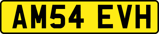 AM54EVH