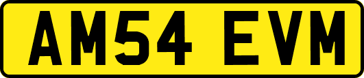 AM54EVM