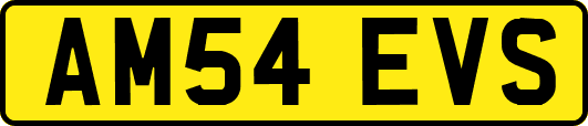 AM54EVS