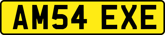 AM54EXE