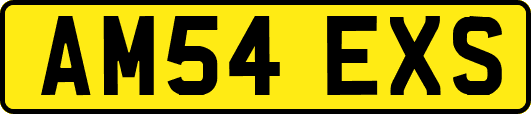 AM54EXS