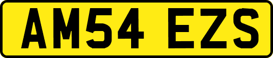 AM54EZS